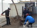 30余临邑骑行者骑行80公里义务帮胜利社区大扫除