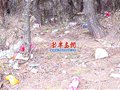 崂山垃圾多 登山爱好者建议“驴头”带头清理