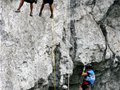百色越野赛首日激战 奇鹿二队后来居上率先撞线