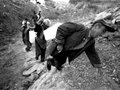 北京600余人扑灭门头沟区山火疑有驴友带火入林(组图)