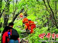 河南游客秦岭失足坠崖 近50人进山搜救12小时(图)