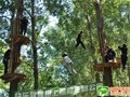 组图：树上探险风靡全球 都市男女减压爬上丛林
