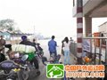 1500公里，网友单车回辽宁