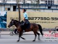 石家庄街头惊现“马路骑士”淡定骑行（图）