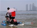 “双人水陆自行车”在汉试水成功 两华商专程参观