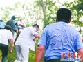“赤手空拳”登险峰，跌落50米高悬崖(二)(组图)