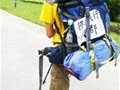 这个女孩胆子大 和网友搭车去西藏