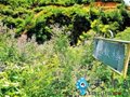蓟县村民推登“野长城”项目 无安全保护措施