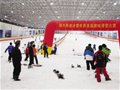 200多位滑雪发烧友柯桥“论剑” 感受速度与激情