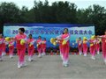 2011年北京市全民健身路径交流大会举行