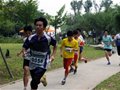 2011年全国学生定向越野锦标赛有趣的丛林“箭影”