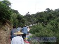 清港：百名七旬老人登山健身