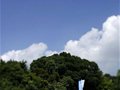 韩国队包揽120公里公路自行车女子赛冠亚军(图)