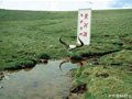 徒步行走10余年“中国阿甘”冲刺黄河源头