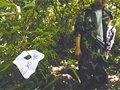 驴友：切勿充当独行侠(组图)