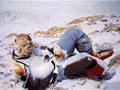 【珠穆朗玛峰的登山者遗体群】躺倒在珠峰山坡上的登山者