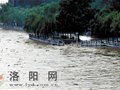 连日降雨致伊河水位暴涨 龙门石窟景区暂停开放(图)