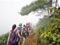 宁海狂热驴友将再办“开驴节”
