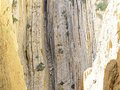 西政府欲重修世界上最危险之路 遭登山迷强烈反对