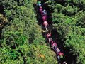 上海市第四届徒步大会16日在南北湖开幕