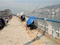 江水涨市民 钓鱼忘却安全