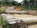 七娘山登山道年底投入使用 可远观南澳全貌
