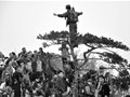 驴友踏孤松合影犯众怒 长城因驴友坍塌加剧(图)