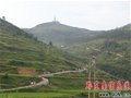 为争取超100公里跑大赛志愿者 群众热身忙(图)