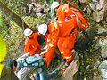 3名老人被困嵩山 把卫生纸系在树上当路标