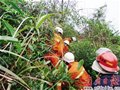 驴友“不走寻常路” 不应丢掉责任意识