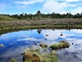 香格里拉的潘多拉——千湖山