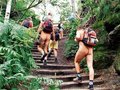 瑞士禁远足者裸体登山 称有权对违反者罚款(图)