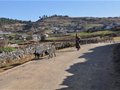 攀枝花全国山地徒步大会将举行