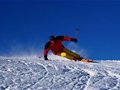 高山滑雪国际雪联积分赛第二天:中国选手颗粒无收