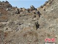 大学生登山陷入困境 消防成功营救(图)