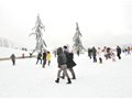 西岭雪山大雪纷飞 5000人雪地狂欢