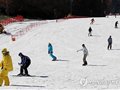 今年赴韩国香港游客将达28万人次 创历史新高