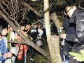 37名深中学生上山露营守护沉香树(图)