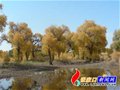 提醒：“驴友团”最好别接受未成年人