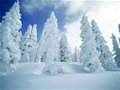 “中俄青年越野滑雪节”搅热冰城