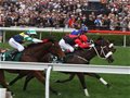 香港本土赛马表现神勇 勇夺三项国际一级赛冠军