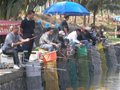 第一届“鹿宝杯”钓鱼大赛19日在三亚举行