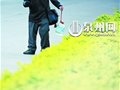 坚持每天步行20公里 6年“绕地球一圈”