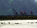 图文-环鄱阳湖国际自行车赛落幕 选手们环湖前行