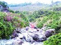 驴友结伴爬云顶山 一女子摔伤昏迷伤势较重(图)
