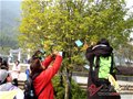 在华韩国人三清山登山活动成功举行