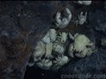 组图：科学家发现南极深海“消失的世界”