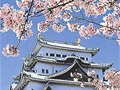 2月浓情绽放 游花海赏五彩世界