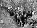 泰山驴友遇难追踪：私自进山面临罚款(图)