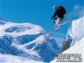 自由式滑雪男子空中技巧比赛贾宗洋获亚军